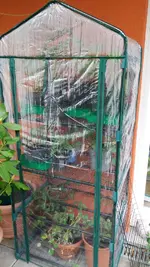 20170507_191022.2.webp