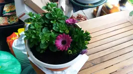 20170507_190934.2.webp
