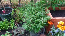 20170507_191158.2.webp