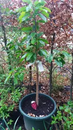20170507_191202.2.webp
