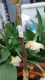 20170507_191100.2.webp
