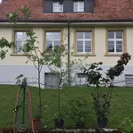 2017-05-07 Bäume2.webp