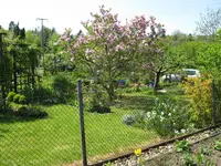 IMG_4722.webp