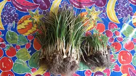 20170420_125834.webp