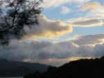 IMG_5654bt (1) - Copyv.JPG
