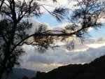 IMG_5657bt (1) - Copyv.JPG