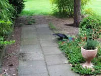 IMG_5938.JPG