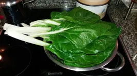 20170508_155032_resized.webp