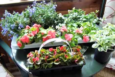100_3869.webp