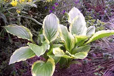 100_3876.JPG