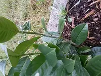 20170508_143120.webp