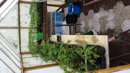 20170508_165043[1].webp