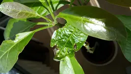 20170509_101912.webp
