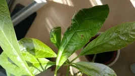 20170509_101917.webp