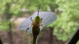 20170509_100644.jpg