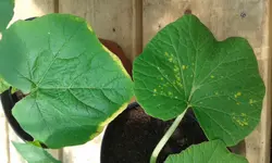 20170509_141838.jpg
