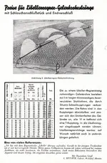 Lanninger_Libellenregner Gelenkrohrstränge.jpg