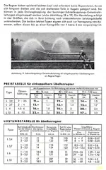Lanninger-Libellenregner 2.webp