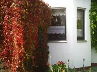 #IC00400.webp