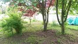 IMAG5783.webp