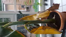 20170509_203504.jpg