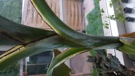 20170509_203516.jpg