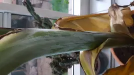20170509_203526.jpg