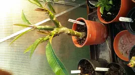 20170509_195701 - Kopie.webp