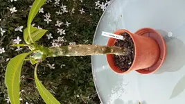 20170509_200722 - Kopie.webp