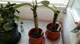 20170509_201029 - Kopie.webp