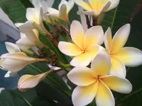 CameraZOOM-20130808125033322 - Kopie.webp