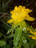 DSCN2412.webp