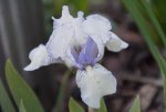DSC07979.JPG