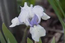 DSC07979.webp