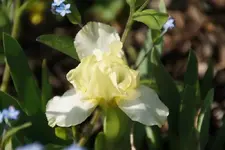 DSC08021.JPG
