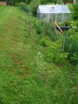 2016-06-18 Wildhecke.JPG