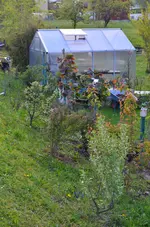 2017-05-09 Wildhecke.webp