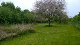 400_3961636238663364.jpg