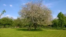400_3139633366663232.webp