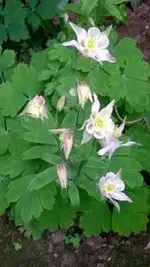 400_3535373637376530.webp