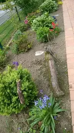 1152_3763616233353036.webp