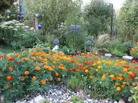 garten 09 005.webp