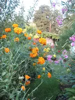 garten 09 009.webp