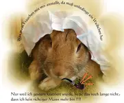 222222.webp