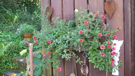 014.webp