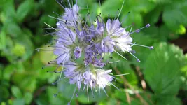 022.webp