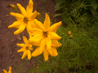 xxx.webp