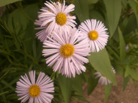 x2.webp