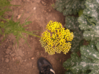 x6.webp