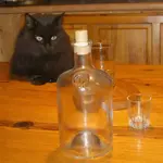 Leeeeer.....webp